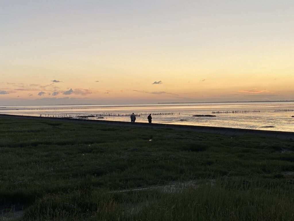 Magisch: Die Atmosphäre zum Sonnenuntergang mit Blick auf das Wattenmeer. CA-Foto