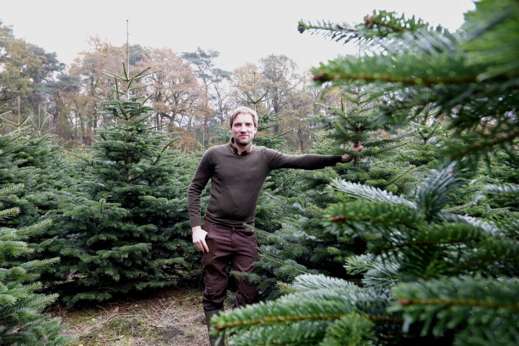 Stefan Weers züchtet in Uplengen Weihnachtsbäume. CA-Foto