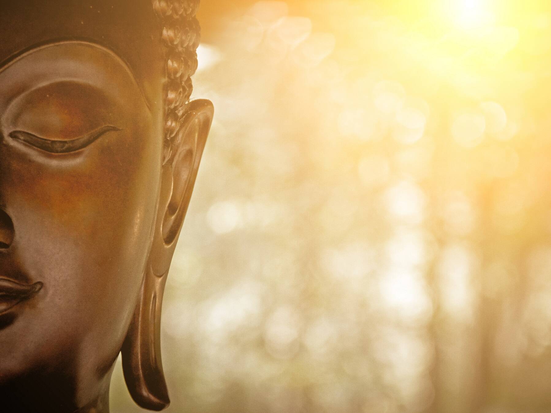 the Head of Buddha Statue. Foto: AdobeStock