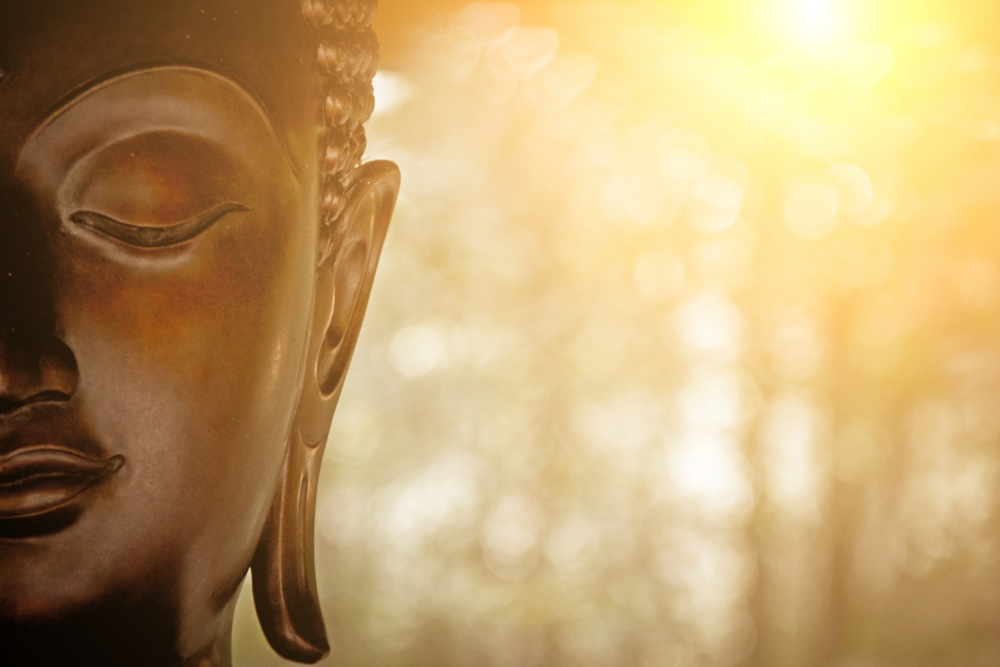 the Head of Buddha Statue. Foto: AdobeStock
