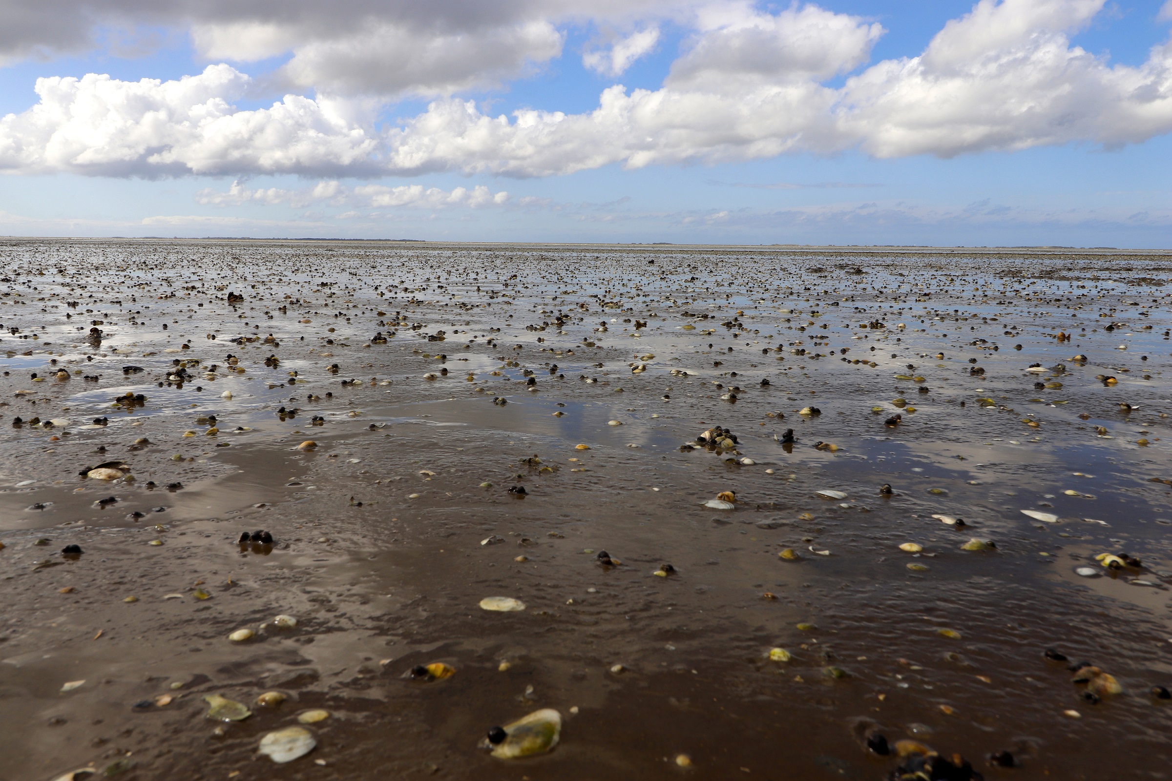 Watt vor Harlesiel. CA-Foto